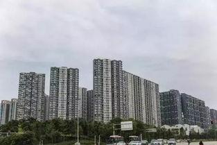 今日成都新房爆料信息,新盘云集，品质生活新选择来袭！